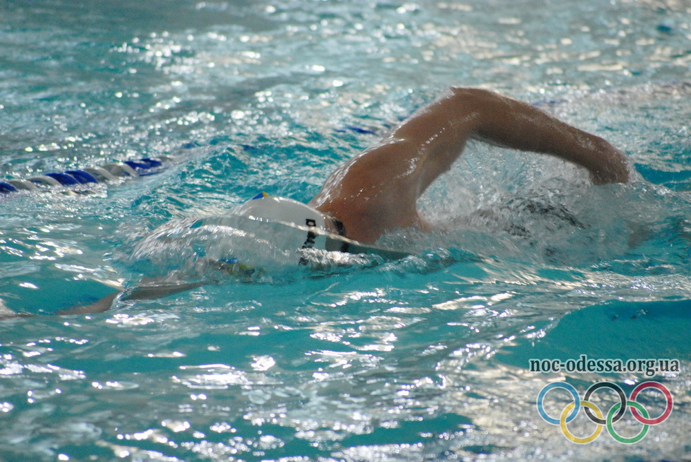 Naumenko Dinamo site 16